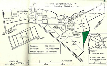 Honey Pot shown in green